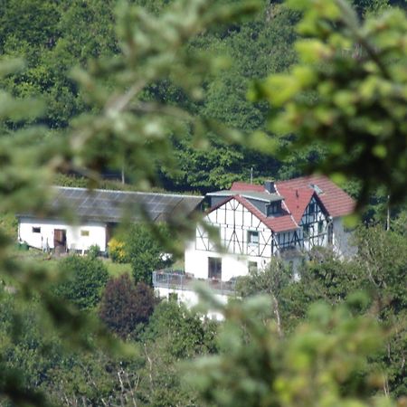 Ferienwohnung Schaefer Waldbreitbach Exterior foto